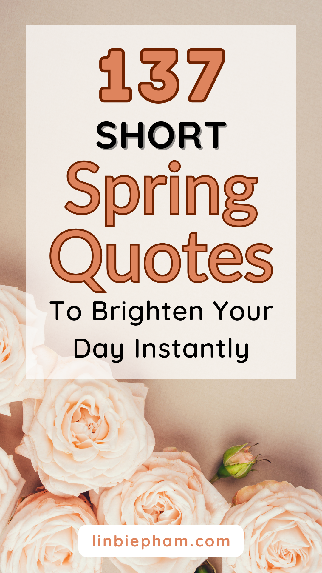 137 Beautifully Short Spring Quotes to Brighten Your Day Instantly