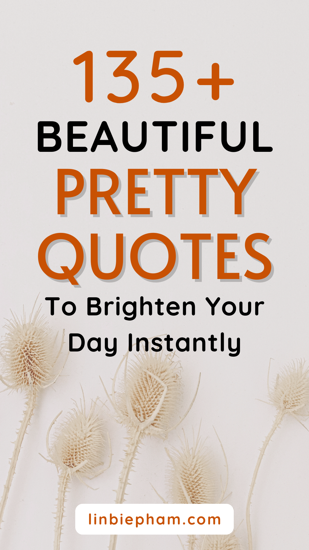 135+ Beautiful Pretty Quotes to Brighten Your Day Instantly