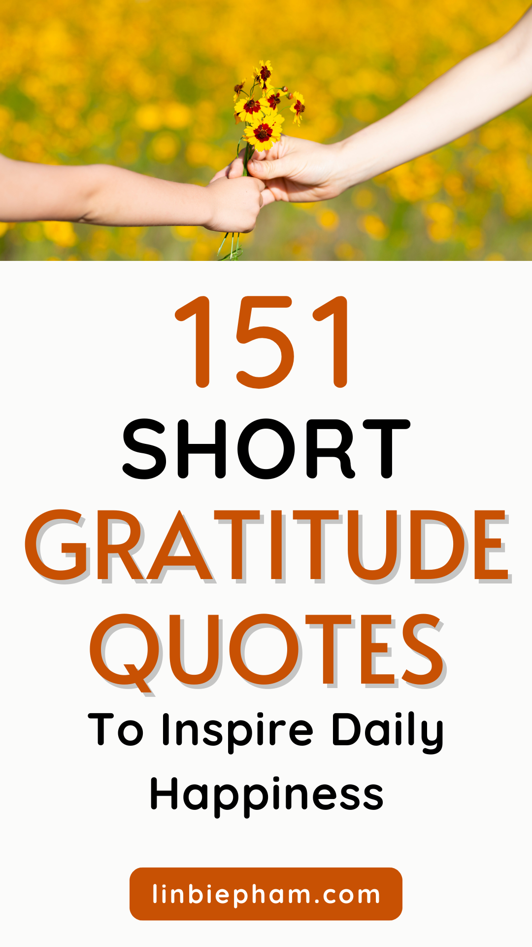 151 Short Gratitude Quotes to Inspire Daily Happiness